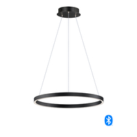 Foyer Pendant Lighting 23-1/2" Width