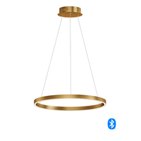 Foyer Pendant Lighting 23-1/2" Width