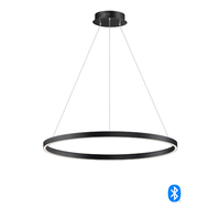 Foyer Pendant Lighting 31-1/2" Width