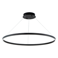 Foyer Pendant Lighting 39-1/2" Width