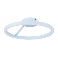 Flush Mount Ceiling Light 15-3/4" Width Flush Mount Ceiling Light 15-3/4" Width