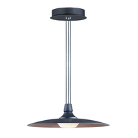 Down Light Pendant 17-3/4" Width