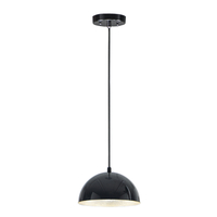 Down Light Pendant 9" Width
