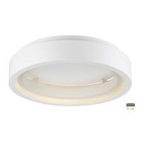 Flush Mount Ceiling Light 23-1/2" Width