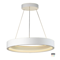 Linear Pendants 28-1/2" Width