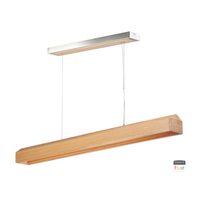 Linear Pendants 59-3/4" Width