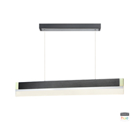 Linear Pendants 4-3/4" Width Linear Pendants 4-3/4" Width