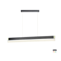 Linear Pendants 4-3/4" Width Linear Pendants 4-3/4" Width