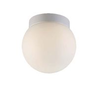 Ceiling Mounted Light 6" Width Ceiling Mounted Light 6" Width
