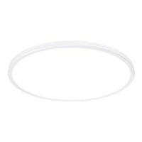Flush Mount Ceiling Light 22" Width
