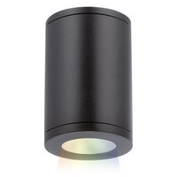 Ceiling Mounted Light 4-4/5" Width Ceiling Mounted Light 4-4/5" Width