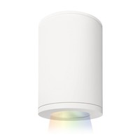 Ceiling Mounted Light 4-4/5" Width Ceiling Mounted Light 4-4/5" Width