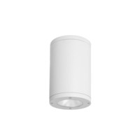 Ceiling Mounted Light 4-4/5" Width Ceiling Mounted Light 4-4/5" Width