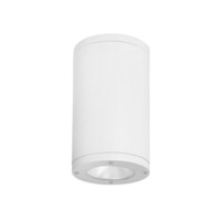 Ceiling Mounted Light 6-2/5" Width Ceiling Mounted Light 6-2/5" Width