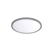 Flush Mount Ceiling Light 11" Width