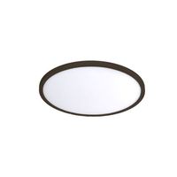 Flush Mount Ceiling Light 11" Width