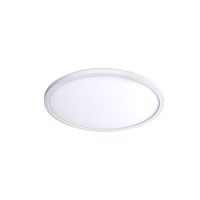 Flush Mount Ceiling Light 11" Width