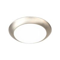 Ceiling Mounted Light 7-2/5" Width Ceiling Mounted Light 7-2/5" Width