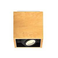 Flush Mount Ceiling Light 6" Width Flush Mount Ceiling Light 6" Width