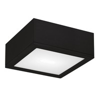 Ceiling Mounted Light 10" Width Ceiling Mounted Light 10" Width