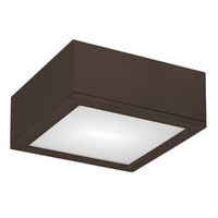 Ceiling Mounted Light 10" Width Ceiling Mounted Light 10" Width