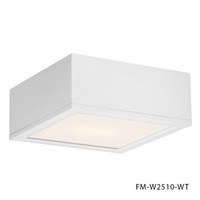 Ceiling Mounted Light 10" Width Ceiling Mounted Light 10" Width