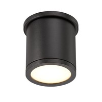 Ceiling Mounted Light 4-1/2" Width
