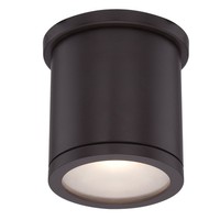 Ceiling Mounted Light 4-1/2" Width