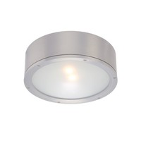 Ceiling Mounted Light 12" Width Ceiling Mounted Light 12" Width