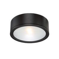 Ceiling Mounted Light 12" Width Ceiling Mounted Light 12" Width
