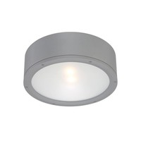 Ceiling Mounted Light 12" Width Ceiling Mounted Light 12" Width