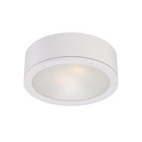 Ceiling Mounted Light 12" Width Ceiling Mounted Light 12" Width