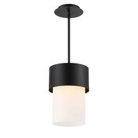 Mini-Pendant 8-7/8" Width