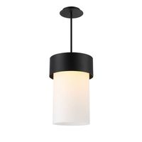 Foyer Pendant Lighting 12" Width Foyer Pendant Lighting 12" Width