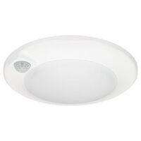 Flush Mount Ceiling Light