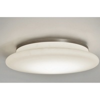Flush Mount Ceiling Light 14-1/2" Width