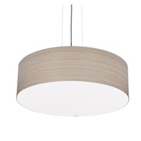 Down Light Pendant 15" Width