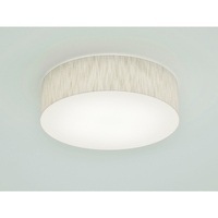 Flush Mount Ceiling Light Flush Mount Ceiling Light