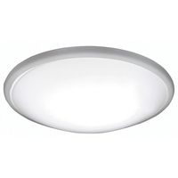 Flush Mount Ceiling Light 17" Width Flush Mount Ceiling Light 17" Width