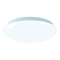 Flush Mount Ceiling Light Flush Mount Ceiling Light