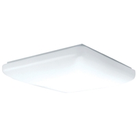 Flush Mount Ceiling Light 20" Width