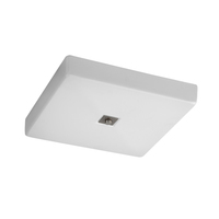 Flush Mount Ceiling Light 16-1/8" Width
