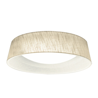 Flush Mount Ceiling Light