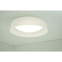 Flush Mount Ceiling Light