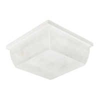 Ceiling Mounted Light 10-1/2" Width Ceiling Mounted Light 10-1/2" Width