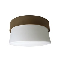 Flush Mount Ceiling Light Flush Mount Ceiling Light