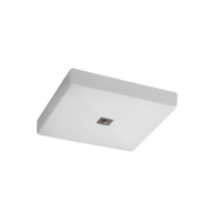 Flush Mount Ceiling Light 16-1/8" Width