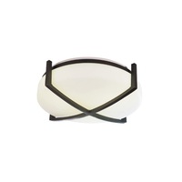 Flush Mount Ceiling Light 12-1/4" Width Flush Mount Ceiling Light 12-1/4" Width