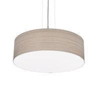 Down Light Pendant 15" Width