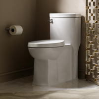 One Piece Toilet Elongated bowl One Piece Toilet Elongated bowl